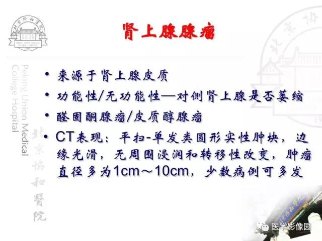【PPT】肾上腺占位性疾病的影像学诊断