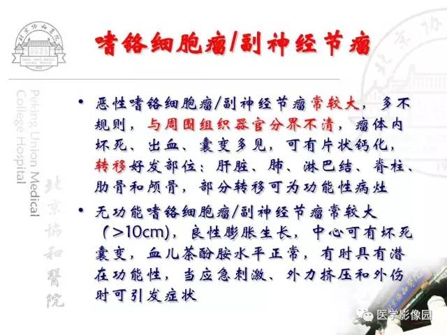 【PPT】肾上腺占位性疾病的影像学诊断