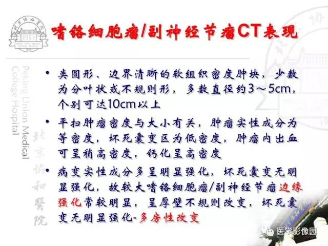 【PPT】肾上腺占位性疾病的影像学诊断