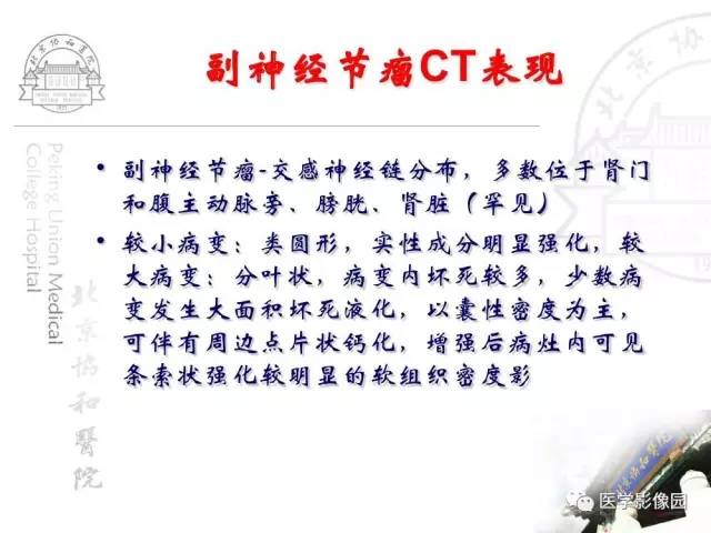 【PPT】肾上腺占位性疾病的影像学诊断