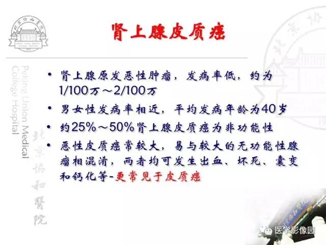 【PPT】肾上腺占位性疾病的影像学诊断