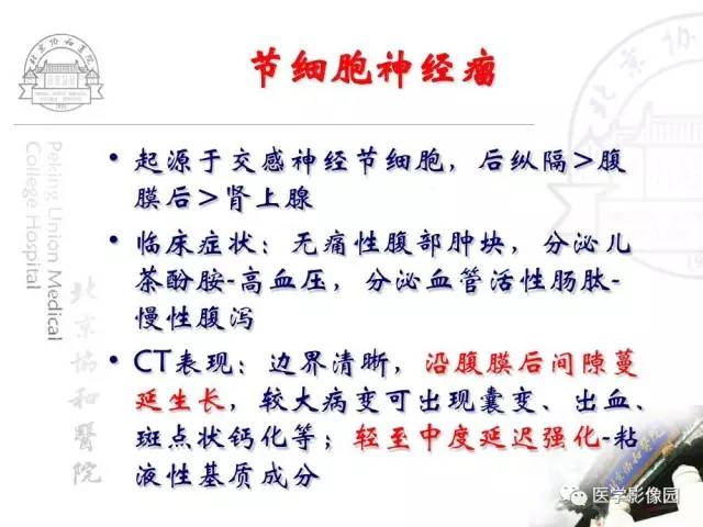 【PPT】肾上腺占位性疾病的影像学诊断