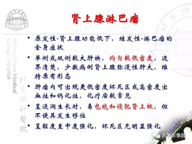 【PPT】肾上腺占位性疾病的影像学诊断