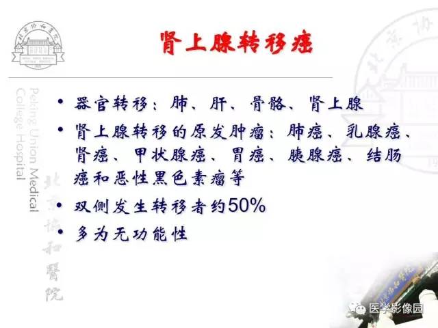 【PPT】肾上腺占位性疾病的影像学诊断