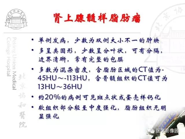 【PPT】肾上腺占位性疾病的影像学诊断