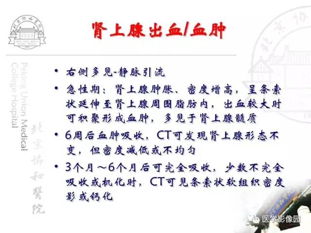 【PPT】肾上腺占位性疾病的影像学诊断
