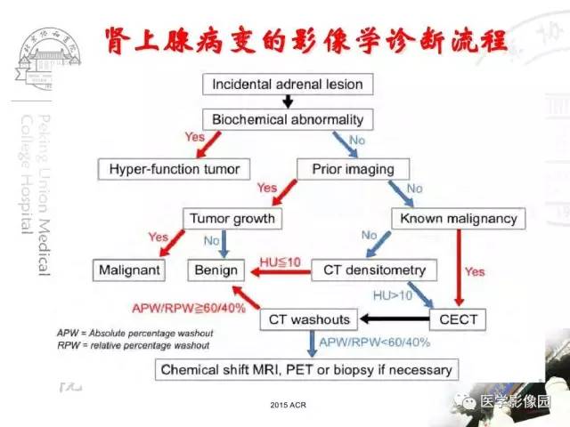 【PPT】肾上腺占位性疾病的影像学诊断
