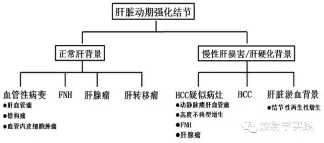 肝脏常见病变的影像诊断思路
