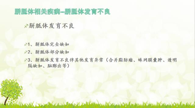 【PPT】胼胝体影像学