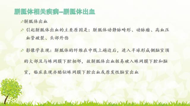 【PPT】胼胝体影像学