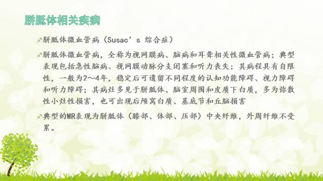 【PPT】胼胝体影像学