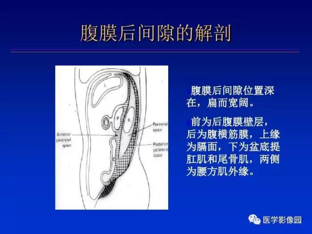 【PPT】原发腹膜后肿瘤影像表现及鉴别诊断思路