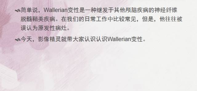 【PPT】Wallerian变性是什么？