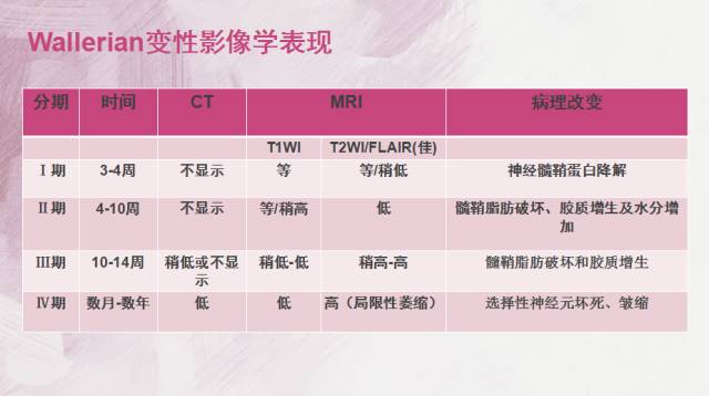【PPT】Wallerian变性是什么？