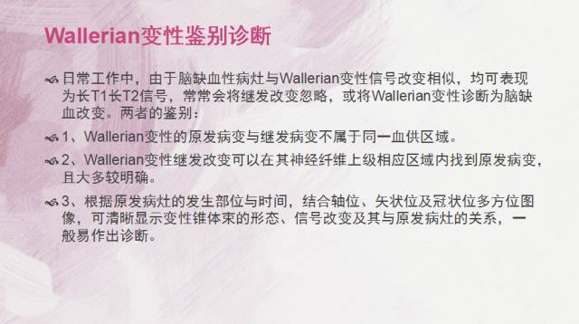 【PPT】Wallerian变性是什么？