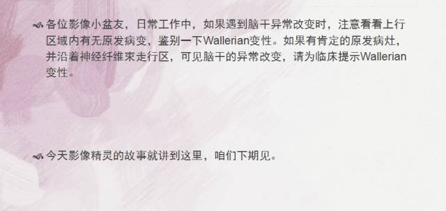 【PPT】Wallerian变性是什么？
