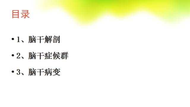 【PPT】脑干影像解剖及诊断