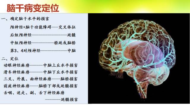 【PPT】脑干影像解剖及诊断