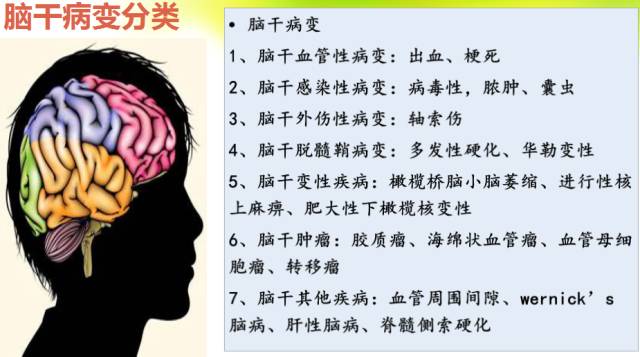 【PPT】脑干影像解剖及诊断