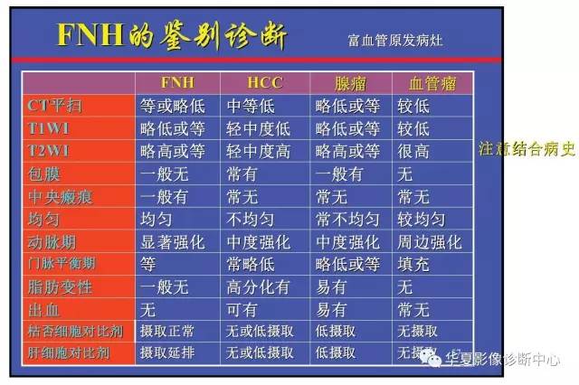 FNH的鉴别诊断