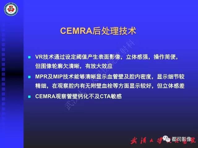 【PPT】下肢血管性病变CTA和MRA