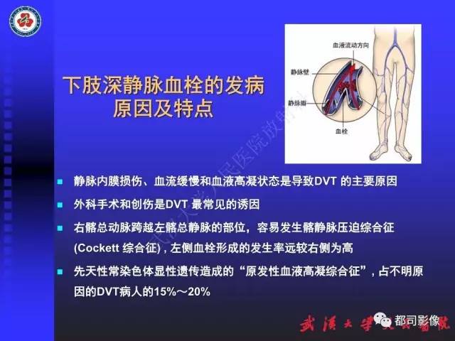 【PPT】下肢血管性病变CTA和MRA