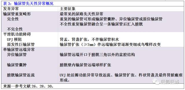 CT尿路造影在输尿管疾病的应用 CT尿路造影在输尿管疾病的应用