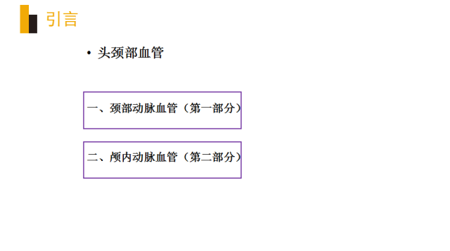 头颈部血管(动脉)影像解剖
