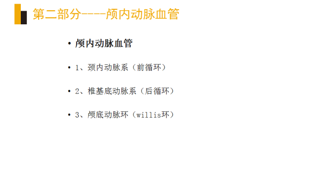 头颈部血管(动脉)影像解剖