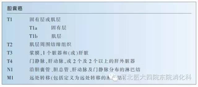 胆囊癌分期、分型、鉴别诊断一次性掌握 胆囊癌分期、分型、鉴别诊断一次性掌握