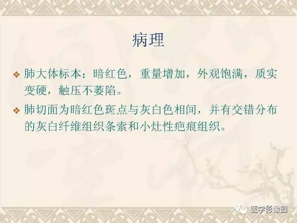 【PPT】急性间质性肺炎