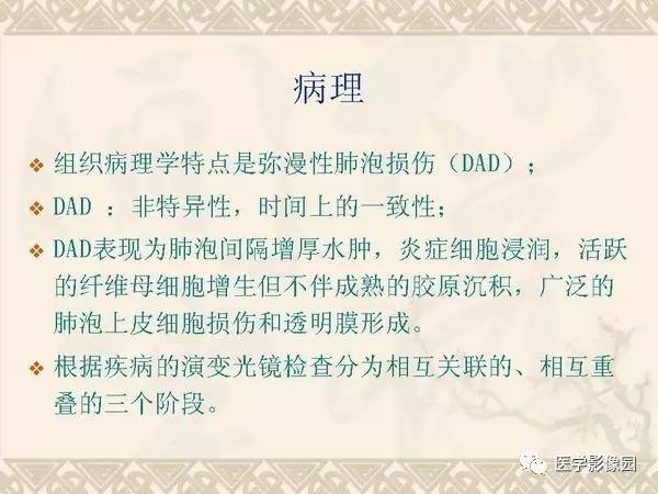 【PPT】急性间质性肺炎