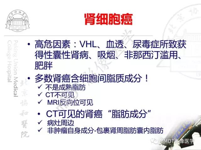 【PPT】肾实质常见肿瘤性病变的影像学诊断