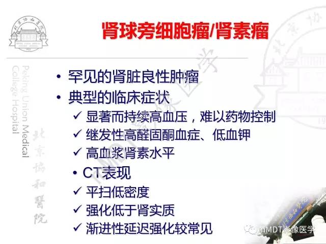【PPT】肾实质常见肿瘤性病变的影像学诊断