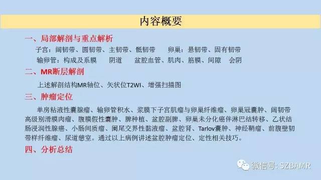 【PPT】女性盆腔、会阴影像解剖与肿瘤定位