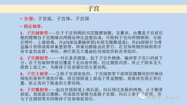 【PPT】女性盆腔、会阴影像解剖与肿瘤定位