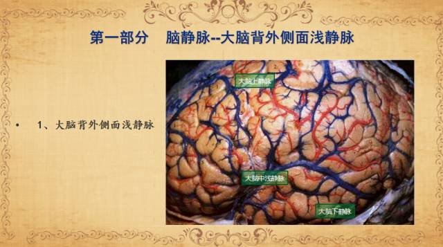 【PPT】脑静脉系统解剖
