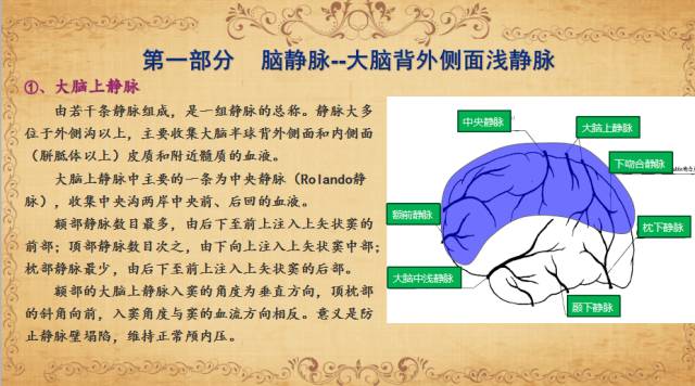 【PPT】脑静脉系统解剖