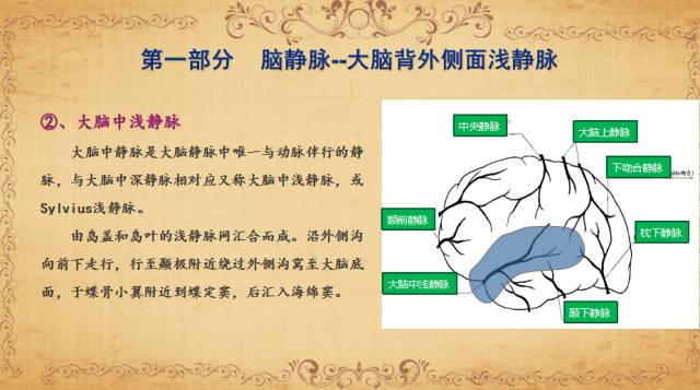 【PPT】脑静脉系统解剖