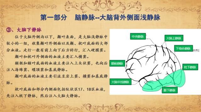 【PPT】脑静脉系统解剖