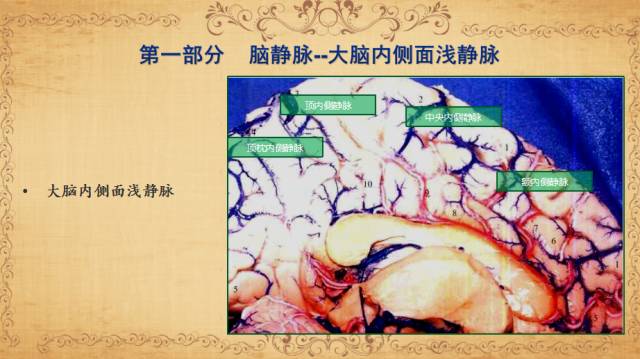 【PPT】脑静脉系统解剖