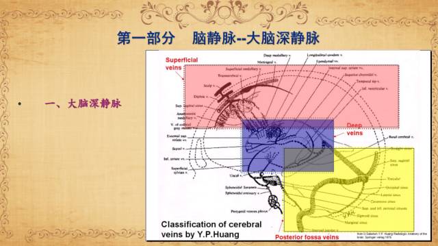 【PPT】脑静脉系统解剖