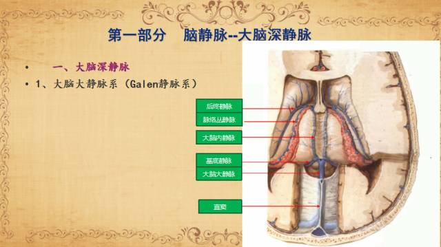 【PPT】脑静脉系统解剖