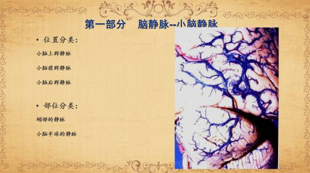 【PPT】脑静脉系统解剖
