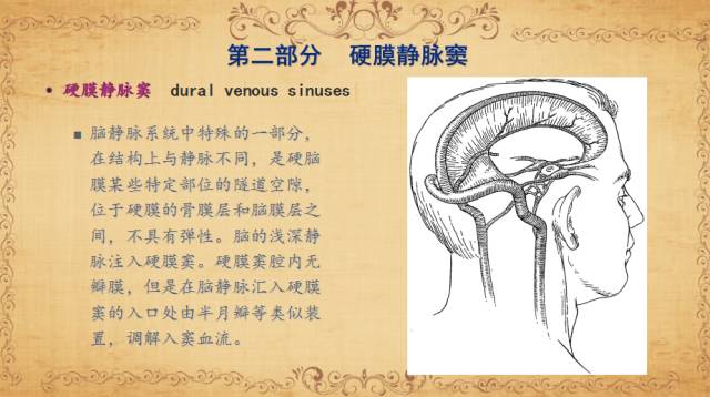 【PPT】脑静脉系统解剖