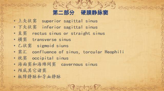 【PPT】脑静脉系统解剖