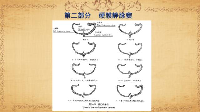 【PPT】脑静脉系统解剖