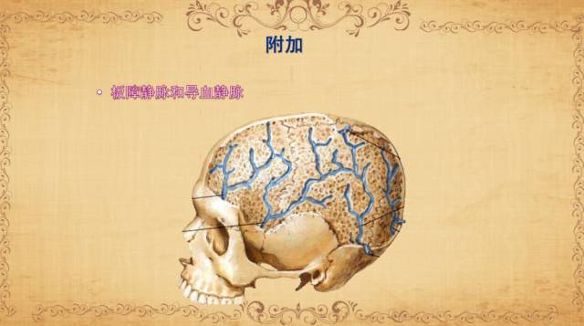 【PPT】脑静脉系统解剖