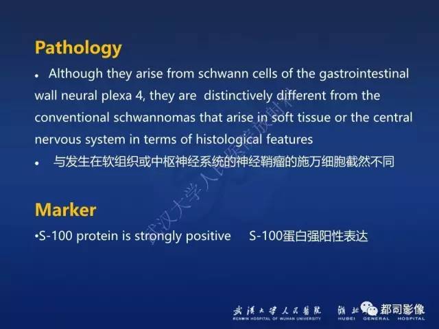 【PPT】胃神经鞘瘤影像诊断