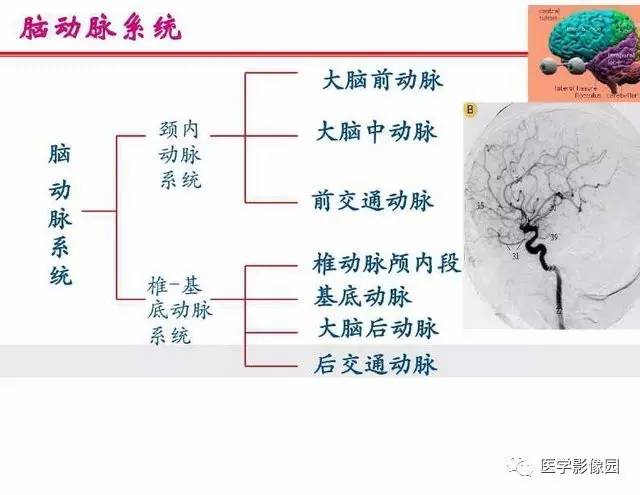 【PPT】脑梗塞影像学诊断